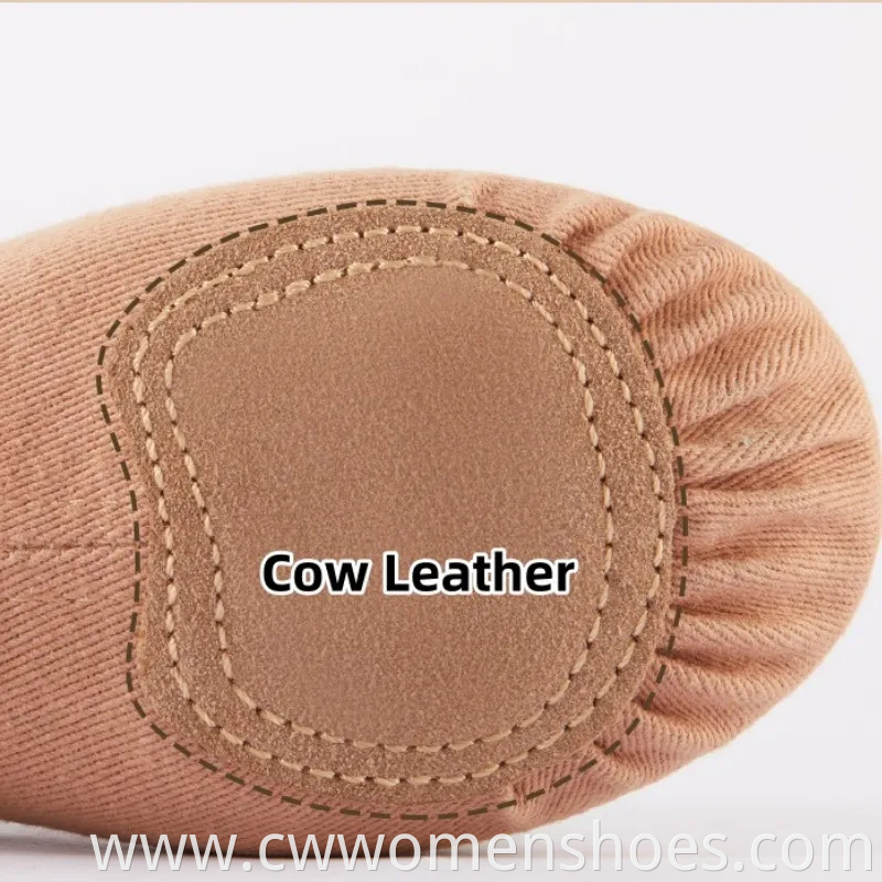 Brown Sheep Tips Ballet Shoes Soft Split Sole Dancing Canvas Ballerina Slippers